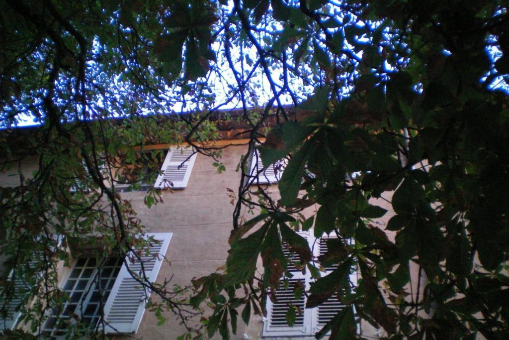 B&B Domaine Le Clos Du Pavillon Бриньол Екстериор снимка